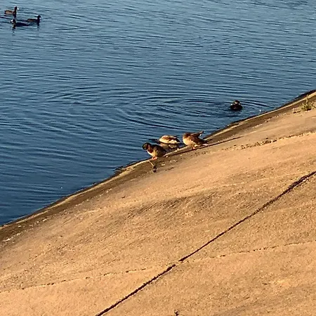 Apartment Apartament Lacul Morii Nou *